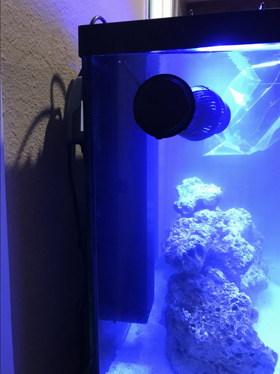Reducing Overflow Noise REEF2REEF Saltwater and Reef Aquarium Forum