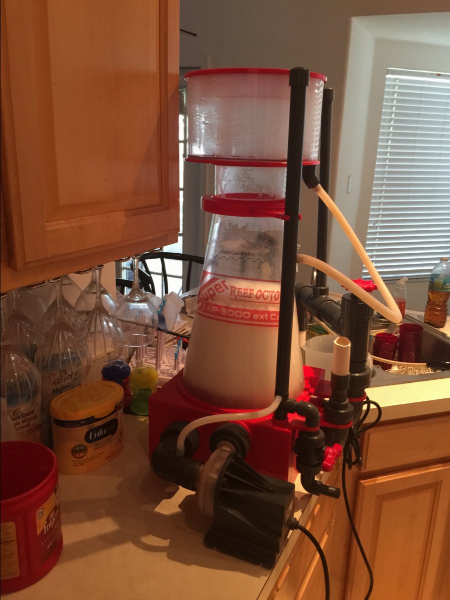 Skimmer for 40 breeder sps. REEF2REEF Saltwater and Reef Aquarium Forum