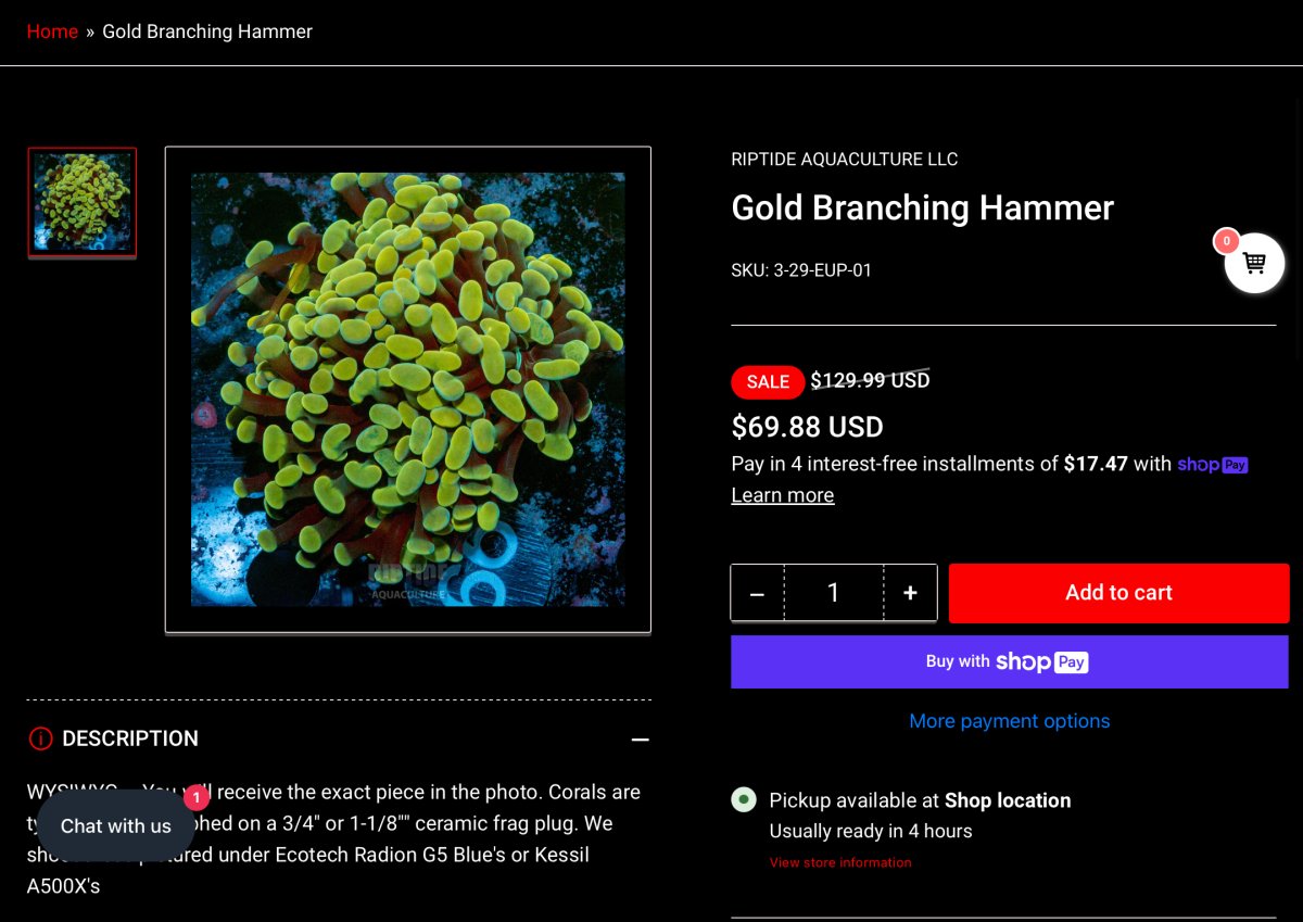 RIPTIDE AQUACULTURE Sunken Treasure After SALE Promo code Treasure