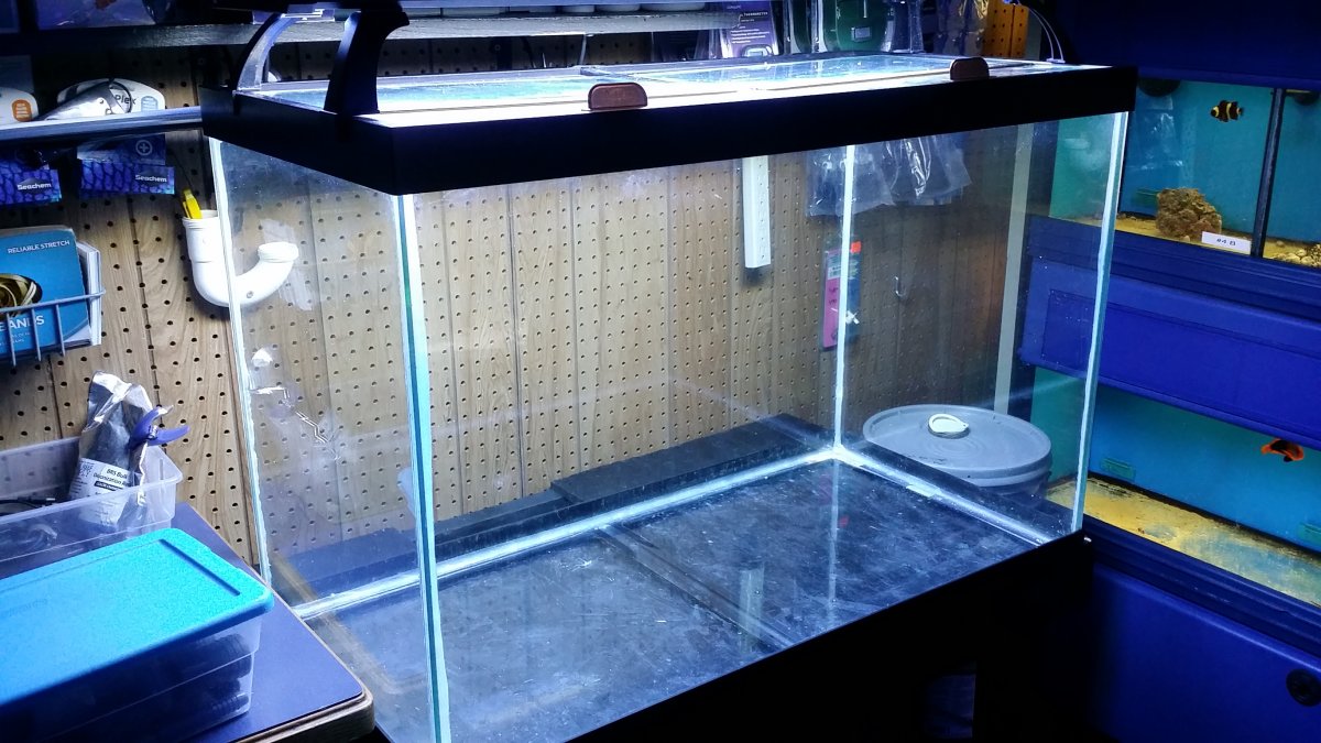 Aqueon's 65 gallon aquarium & Odyssea 36" T5 HO Quad Aquarium Light