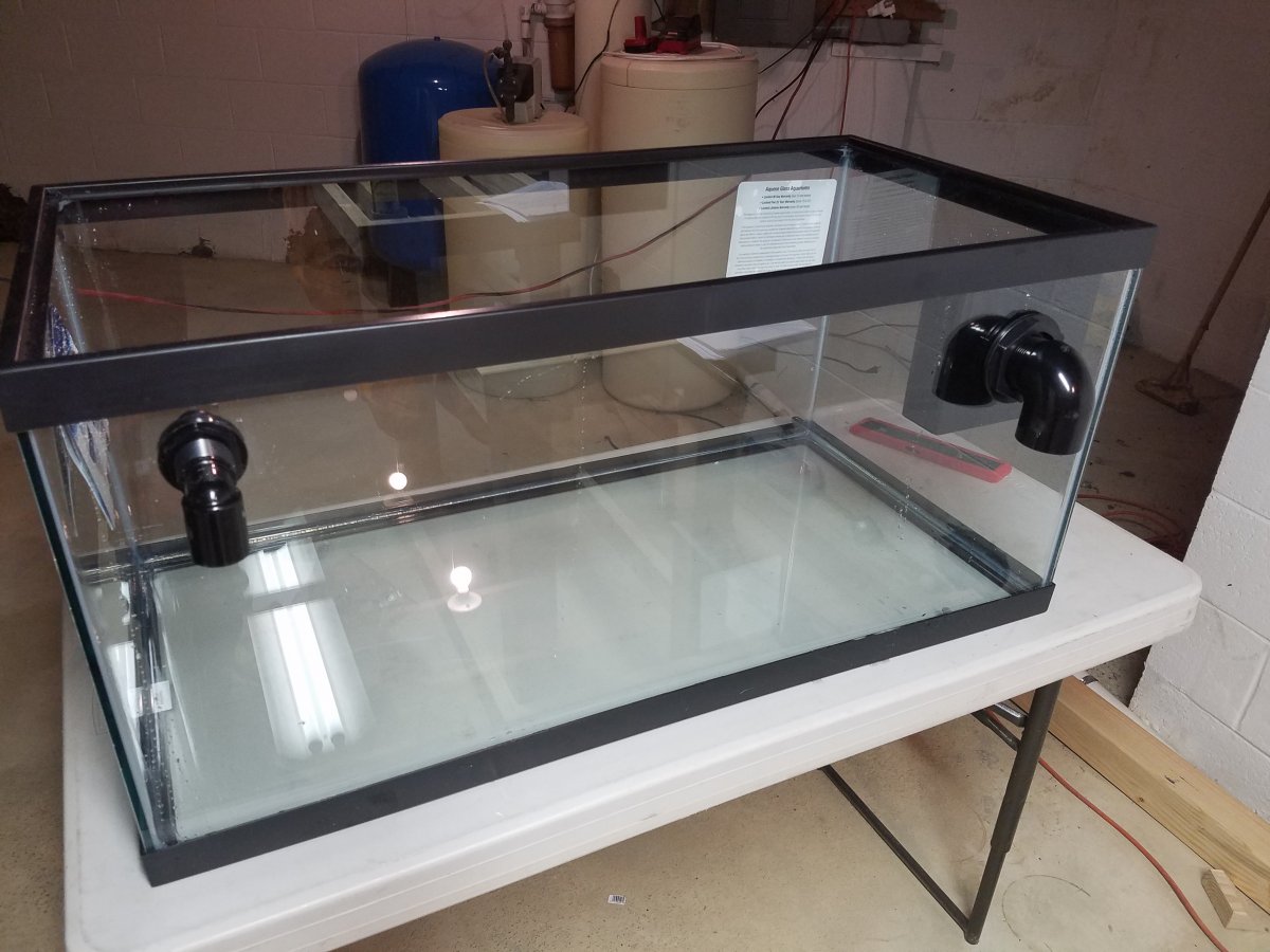 40 gallon breeder club REEF2REEF Saltwater and Reef Aquarium Forum
