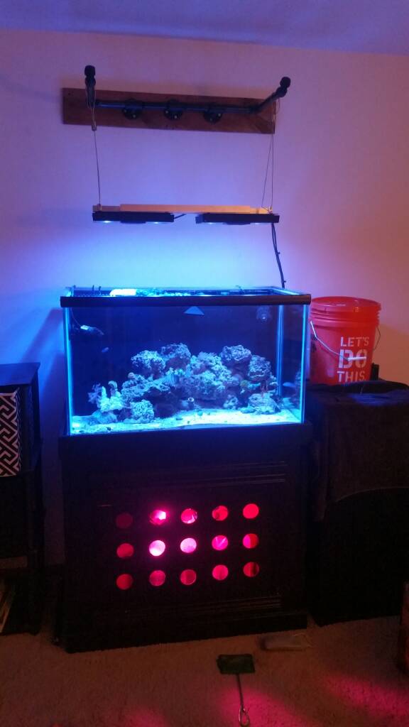 floating canopy ideas for 4 ft rimless REEF2REEF Saltwater and Reef