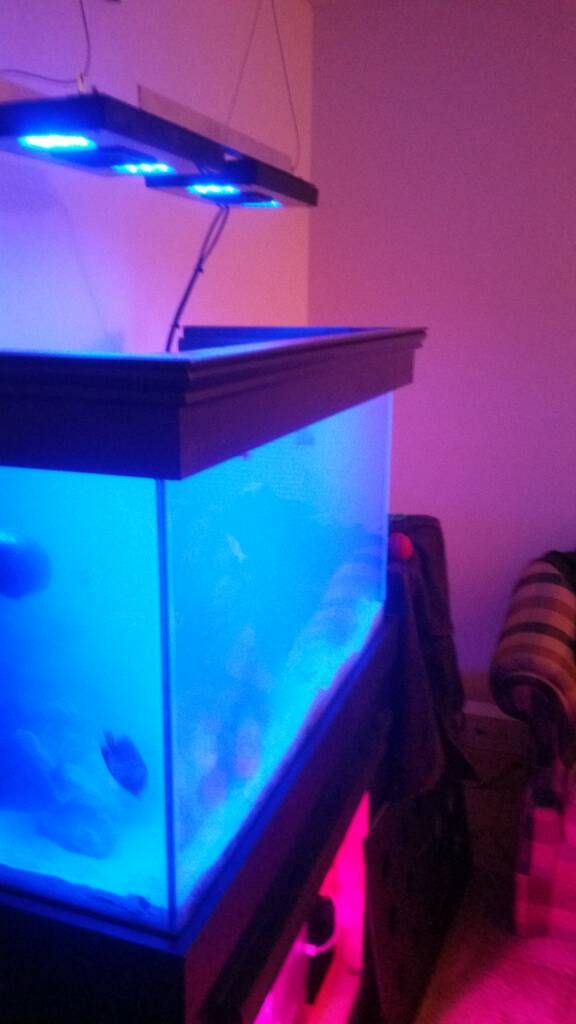 floating canopy ideas for 4 ft rimless REEF2REEF Saltwater and Reef