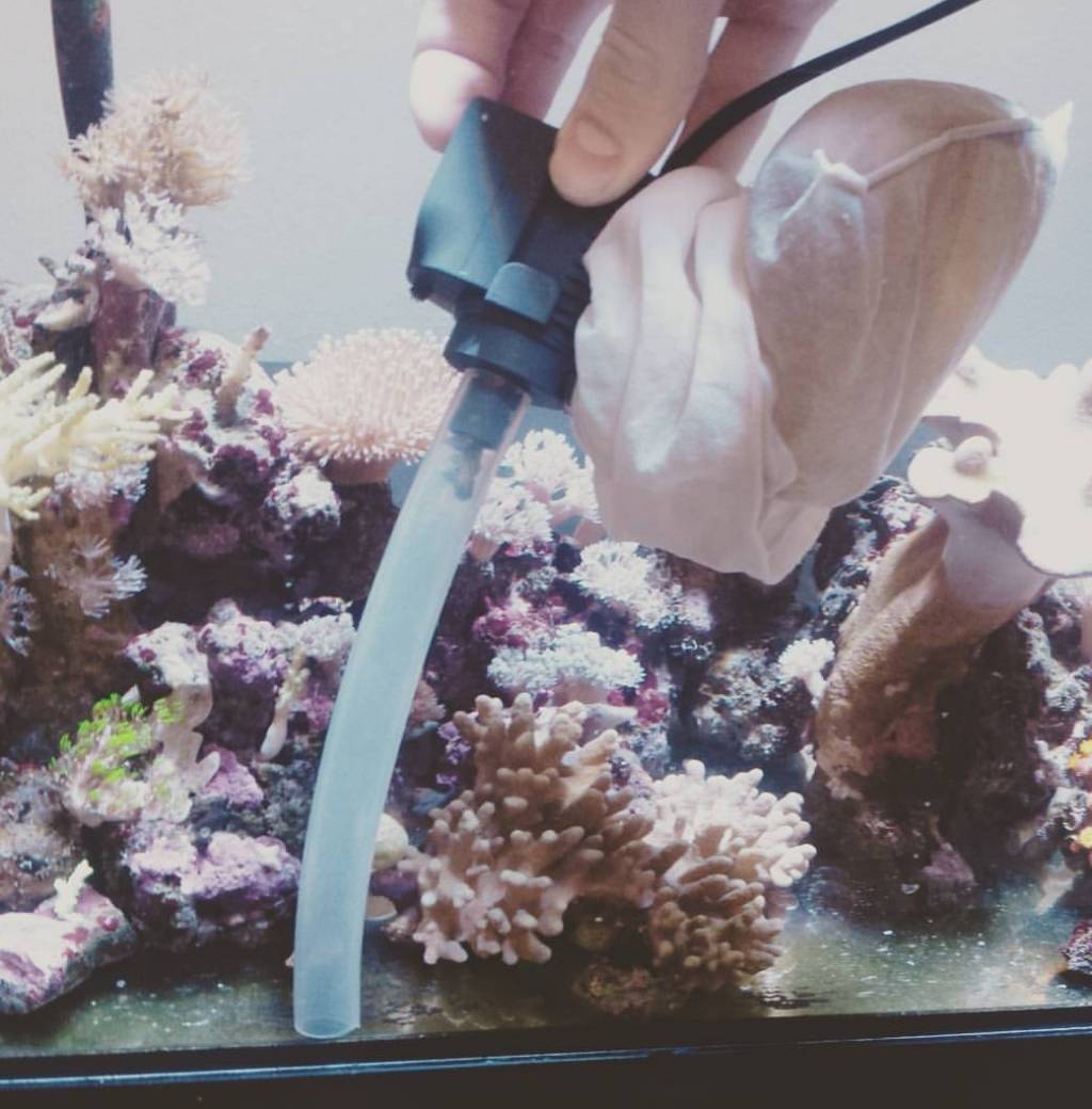 Turn a spare MJ1200 Pump into a Detritus Vacuum! REEF2REEF Saltwater