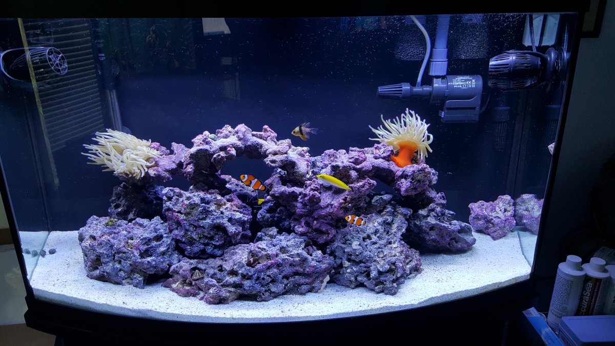 Calcium Level REEF2REEF Saltwater and Reef Aquarium Forum
