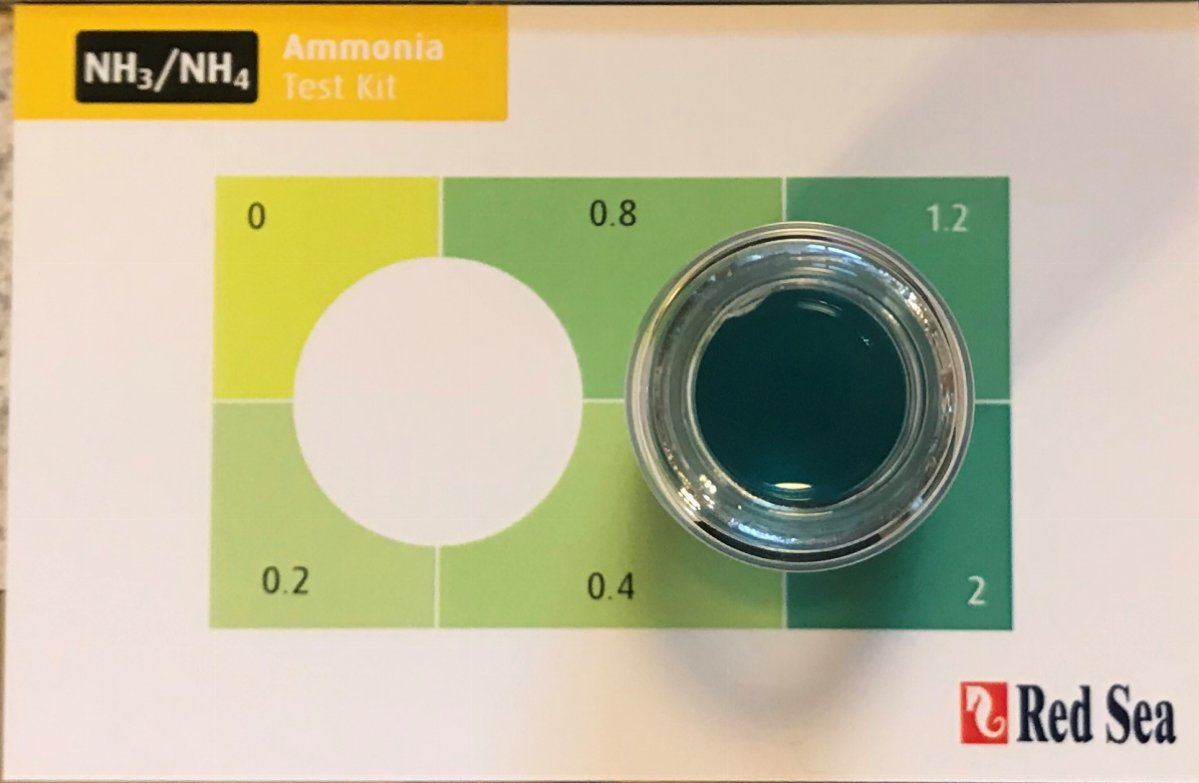 How much ammonia to add to verify cycle is complete REEF2REEF
