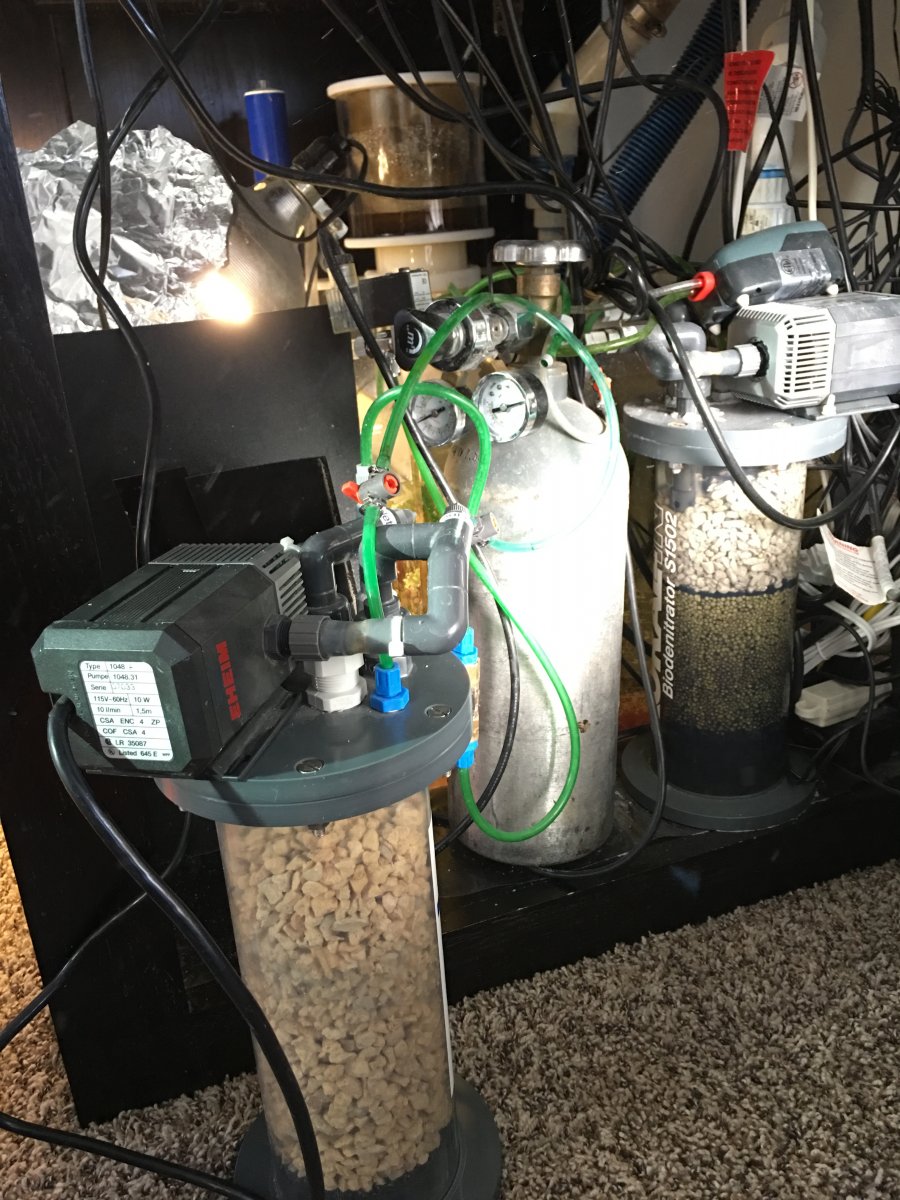 EQUIPMENT SPOTLIGHT OF THE WEEK (4/6/16) KORALLIN C1502 CALCIUM
