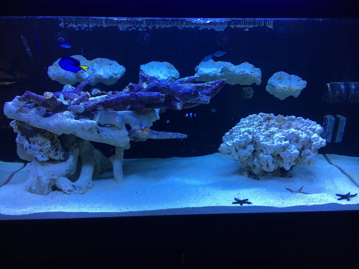 Aquascaping with different types of rock? REEF2REEF Saltwater and