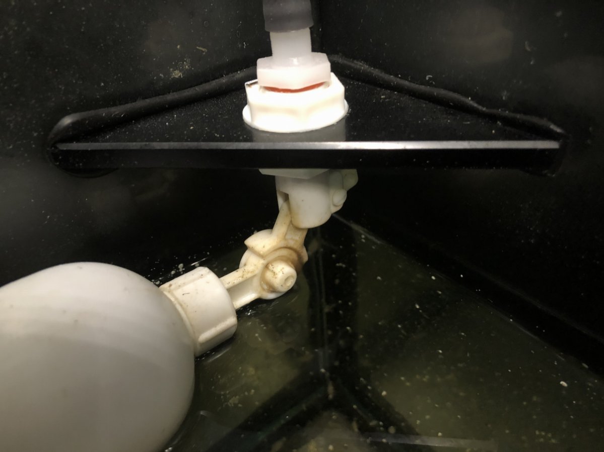 Red Sea float valve rust? REEF2REEF Saltwater and Reef Aquarium Forum