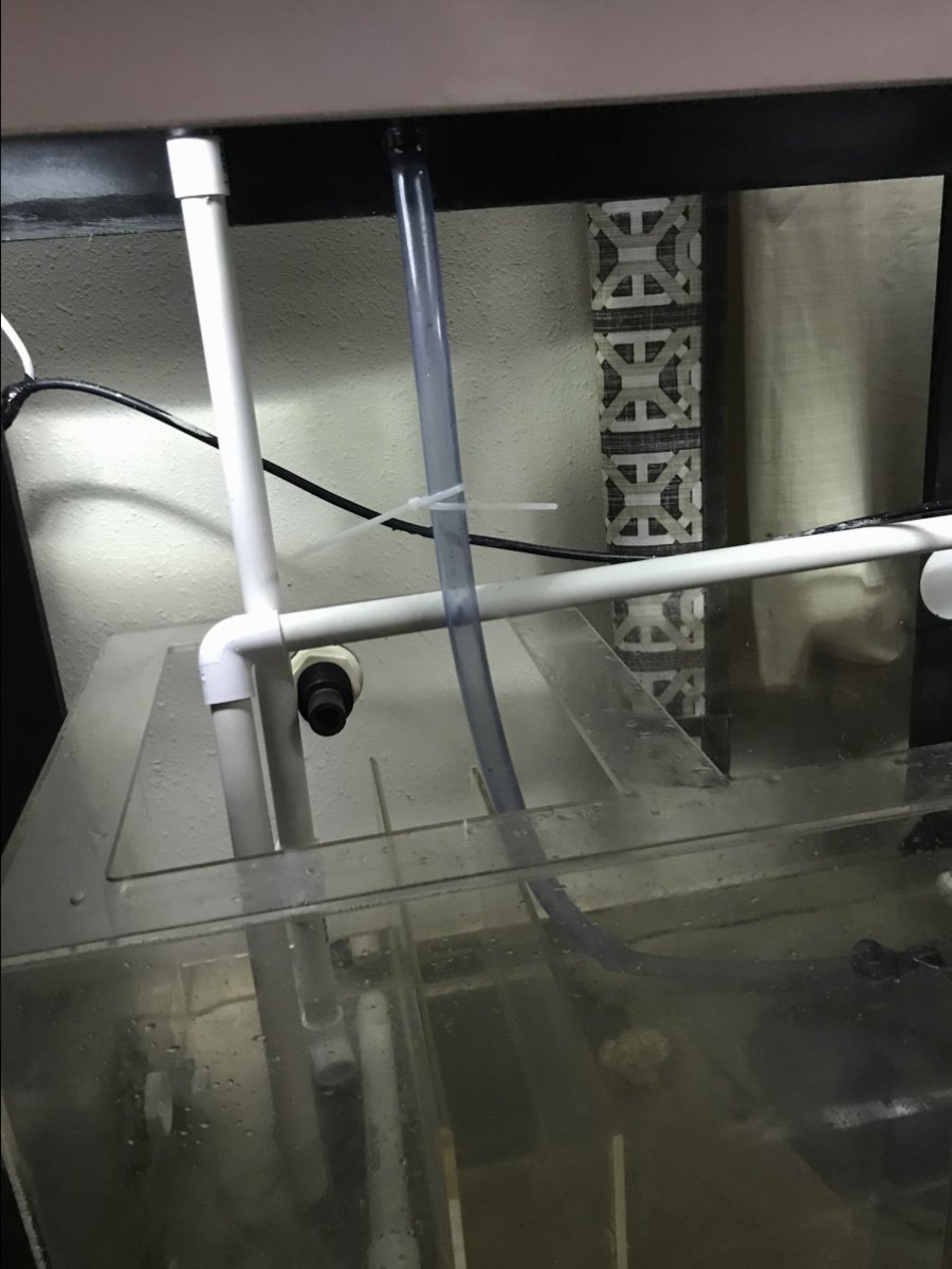 How to remove a sump baffle? REEF2REEF Saltwater and Reef Aquarium Forum