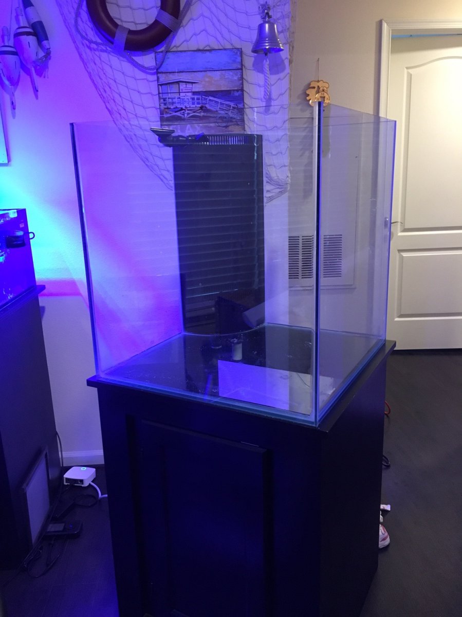 Build Thread Another 60 gallon Cube Tank build REEF2REEF Saltwater