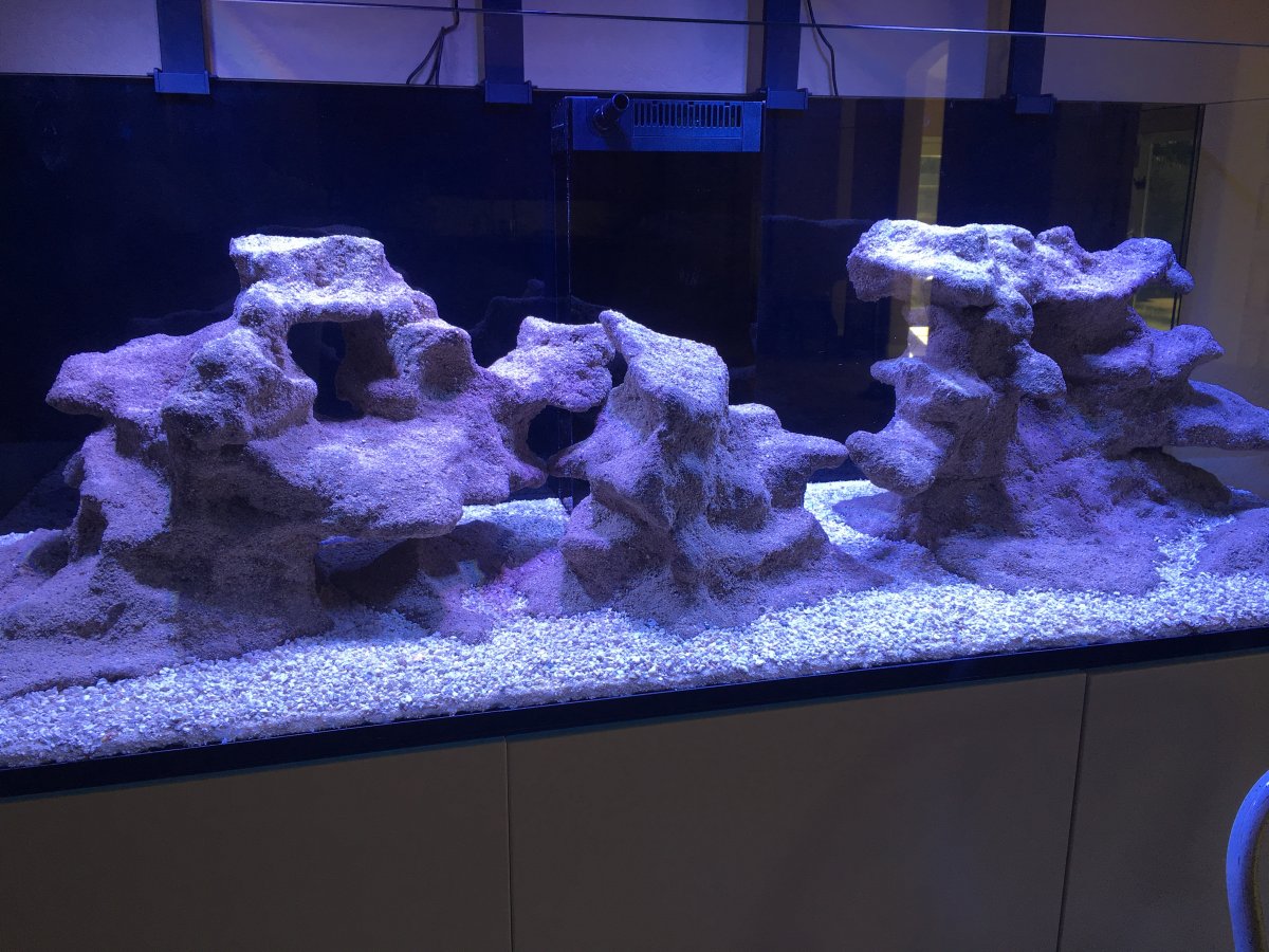 How To Make Aquarium Decorations Out Of Styrofoam Aquarium Views