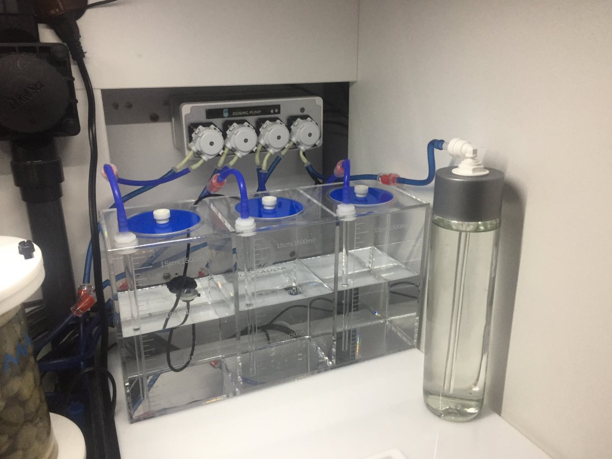 Coral Box WiFi Dosing Pump REEF2REEF Saltwater and Reef Aquarium Forum