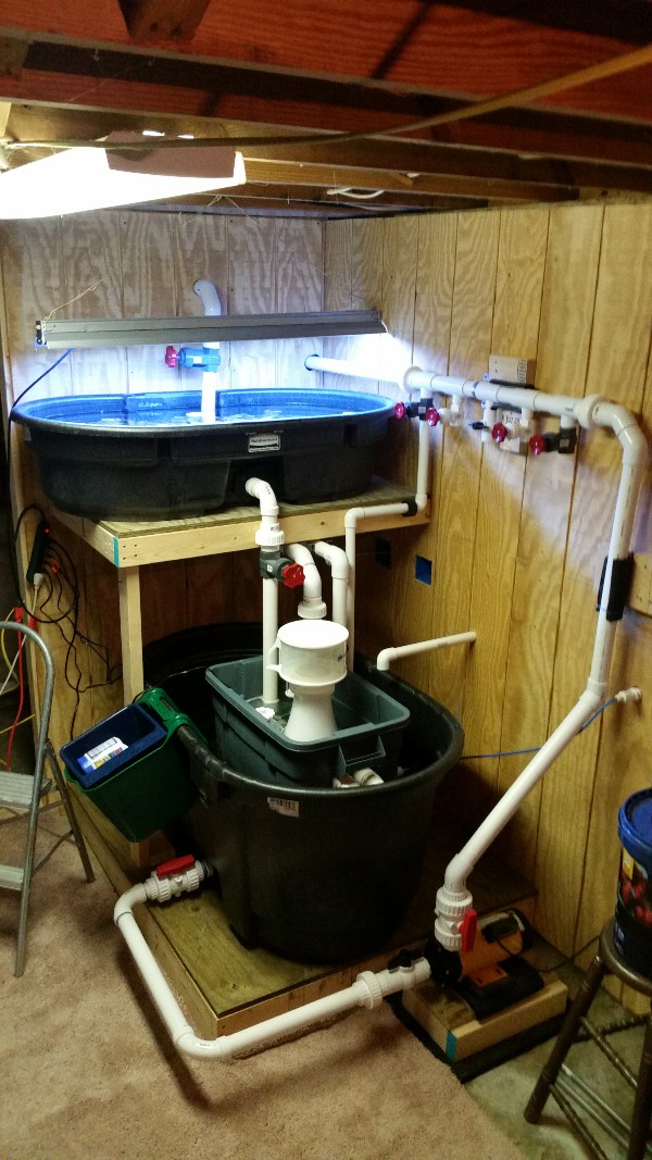 Rubbermaid Stock Tank as a sump? REEF2REEF Saltwater and Reef