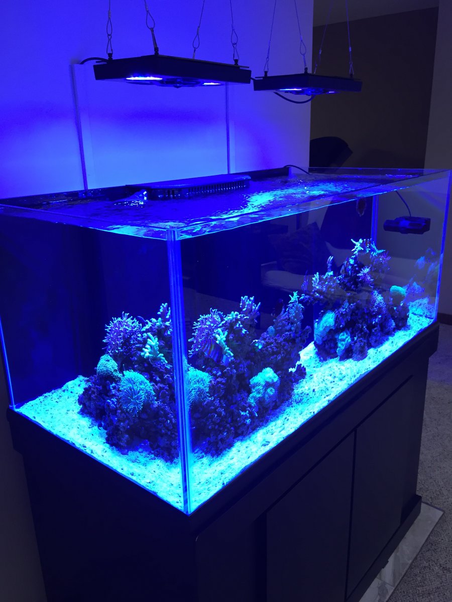 Looking for advice/examples for center overflow aquascape REEF2REEF