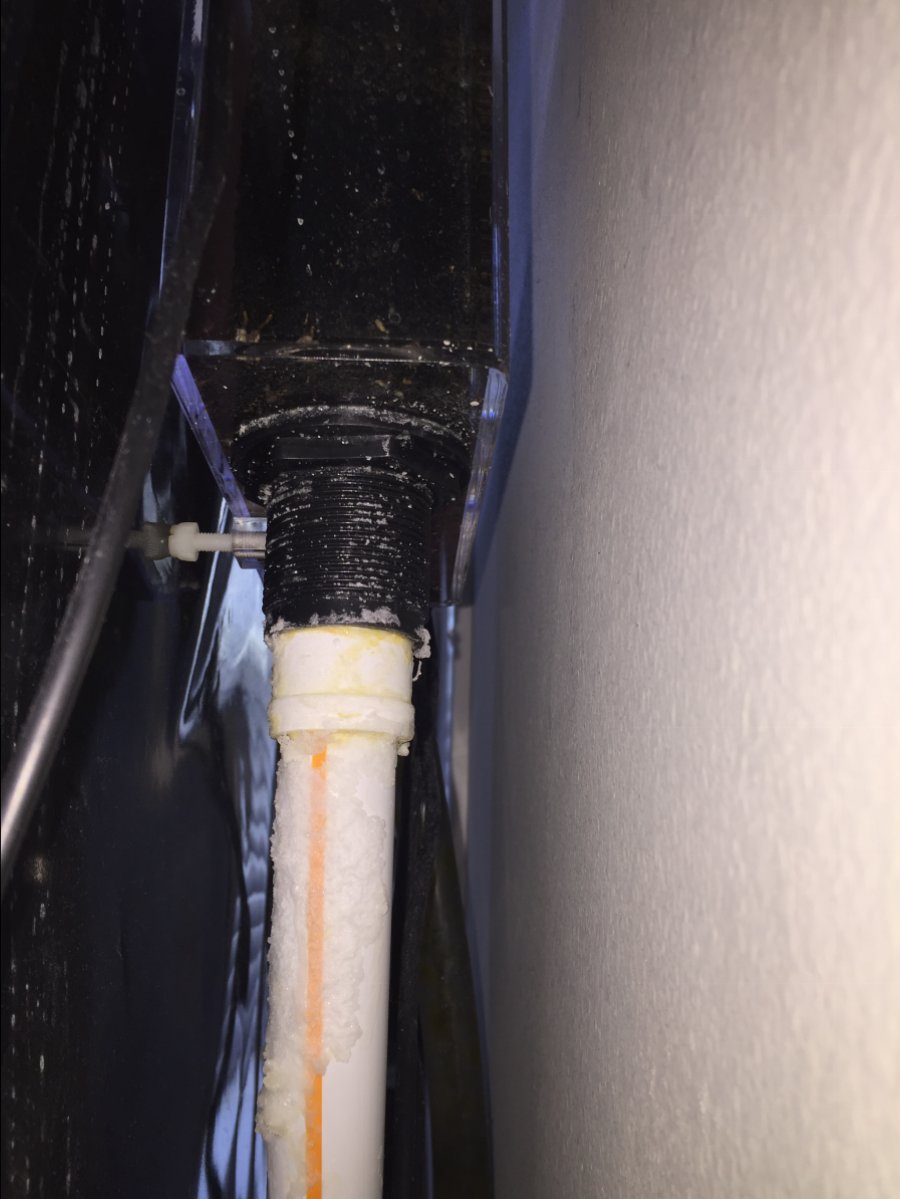 Overflow/Bulkhead/Plumbing leak, Plumbing question REEF2REEF
