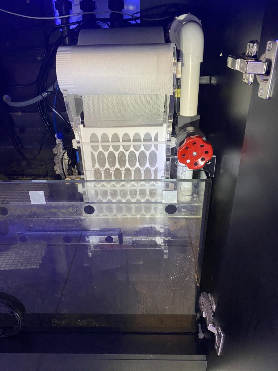 Is it okay to remove these baffles from a Red Sea 170 sump? how to