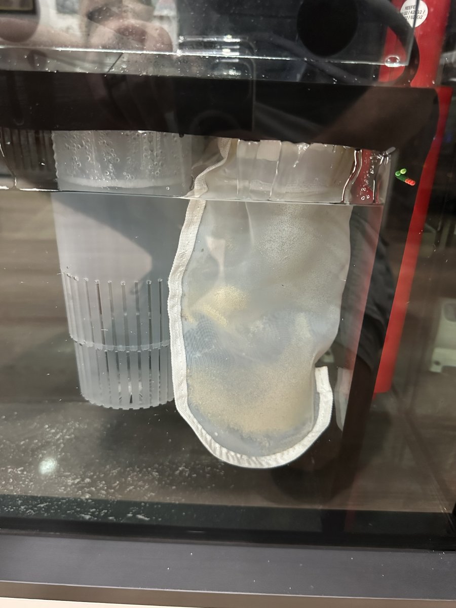 Best filter media for Red Sea sump? REEF2REEF Saltwater and Reef