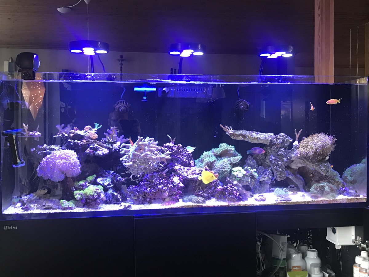 Manual for Coral Box Moon Led REEF2REEF Saltwater and Reef Aquarium Forum