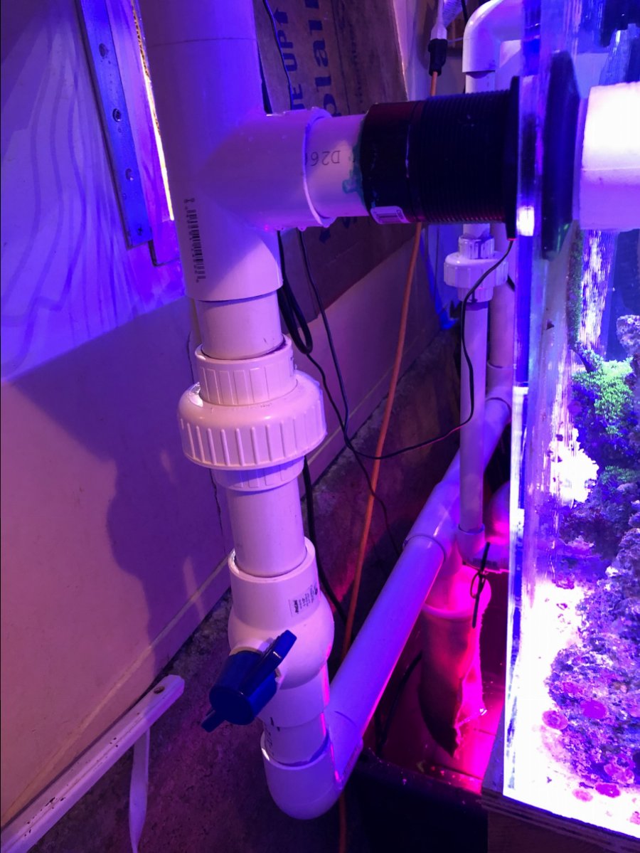 horizontal PVC Pipe overflow REEF2REEF Saltwater and Reef Aquarium Forum