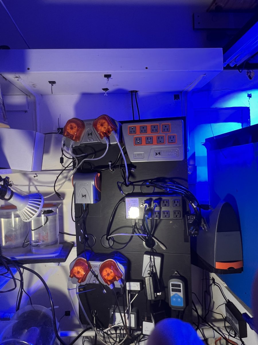 California Dosing SOLD Now Pending Neptune DOS I have two for