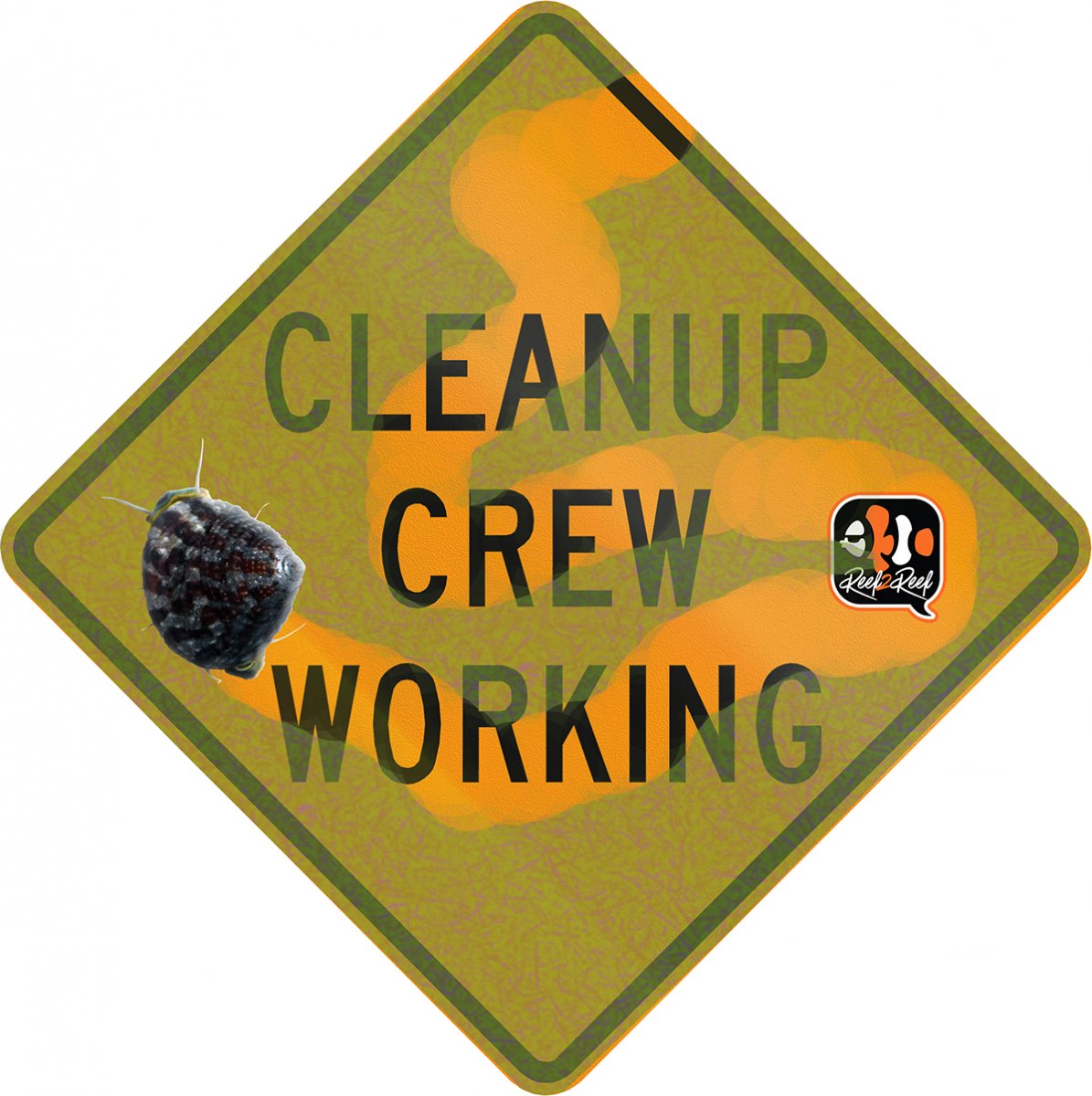 QUESTION OF THE DAY TOP 3 Cleanup Crew Critters & when's the last