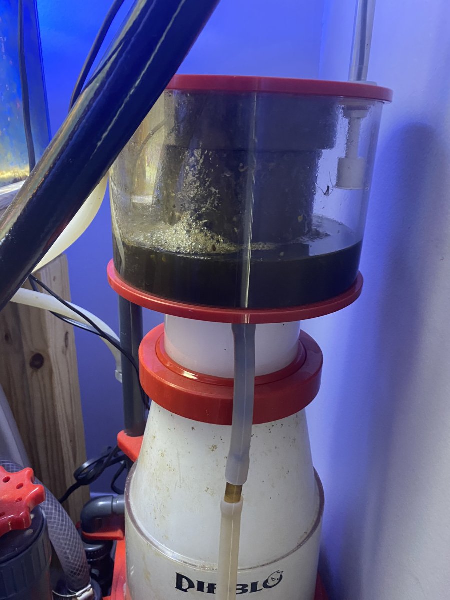 QUESTION OF THE DAY Fight! Fight! Fight! Wet Skimming vs Dry Skimming