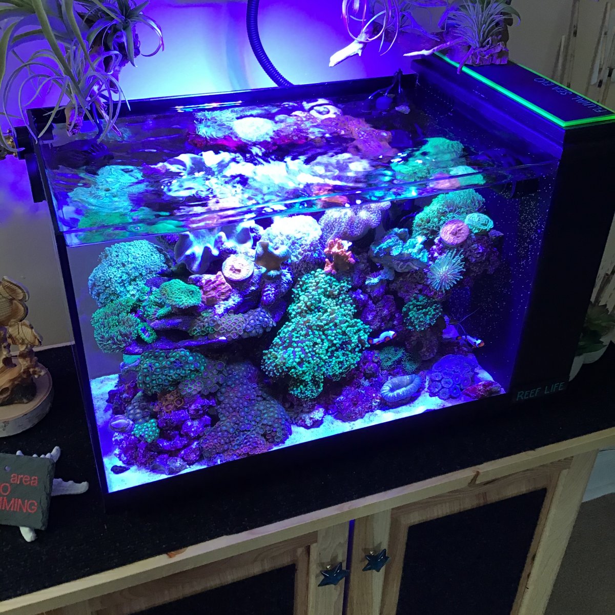 Can I use plexiglass as an aquarium lid? REEF2REEF Saltwater and Reef