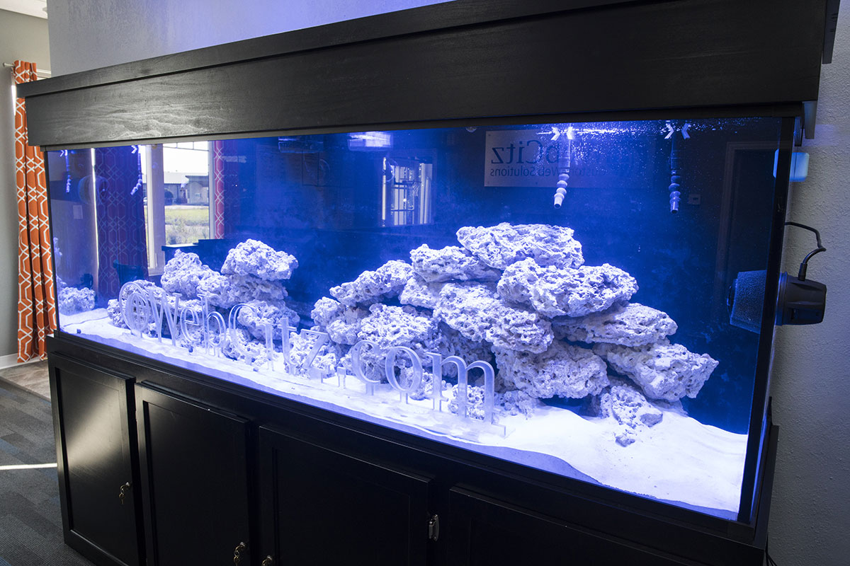 Build Thread 300 Gallon SPS Tank REEF2REEF Saltwater and Reef Aquarium Forum