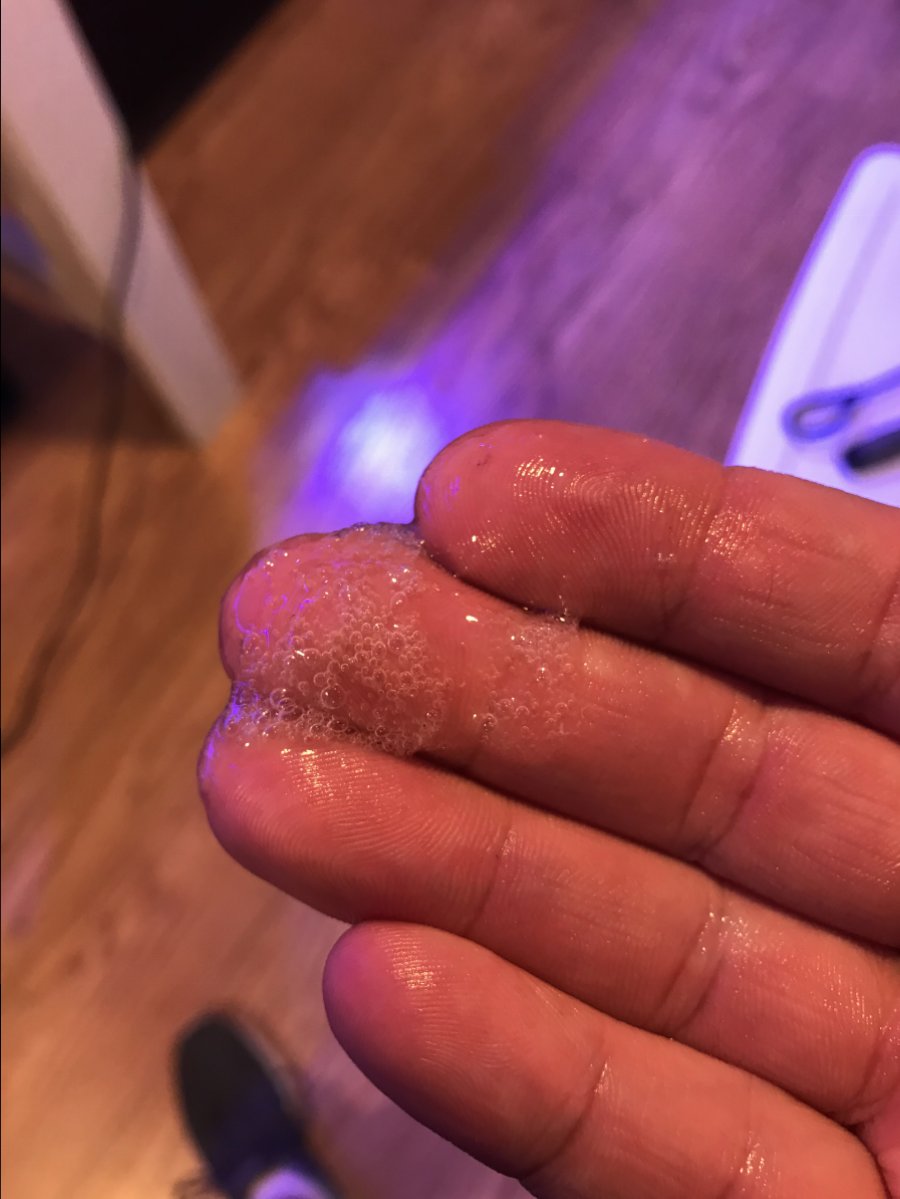 Foamy white/clear slime on top of sump water... REEF2REEF Saltwater