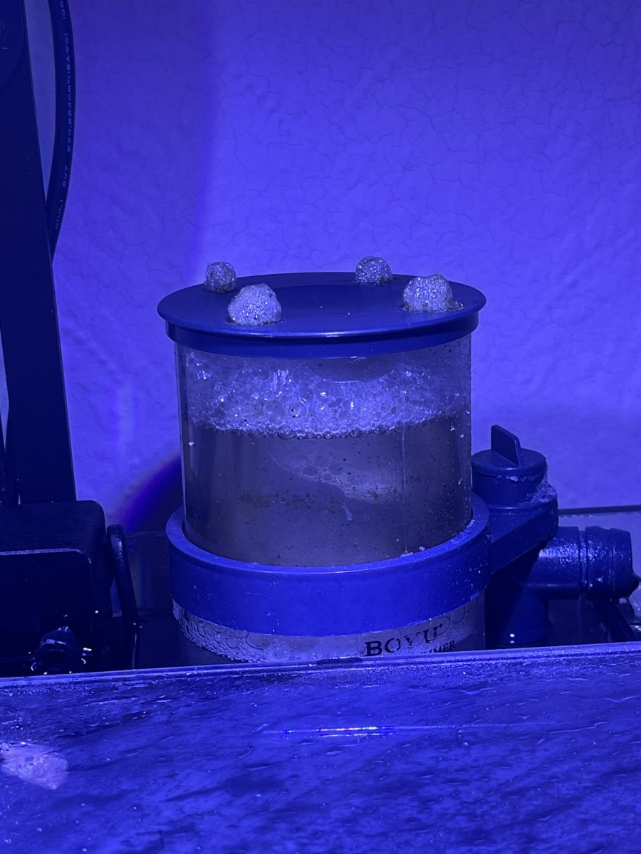 Skimmer bubbling through lid REEF2REEF Saltwater and Reef Aquarium Forum