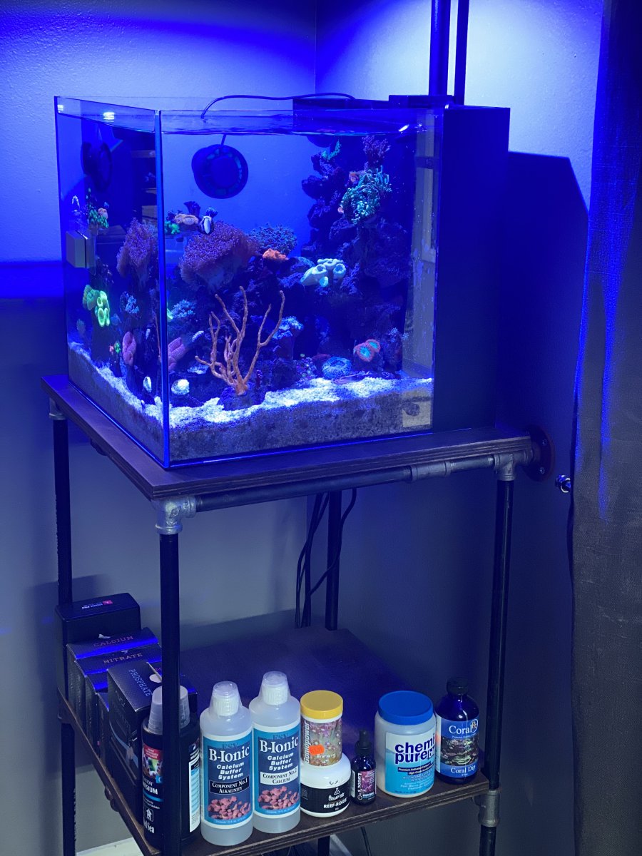 California Aquariums Package Deal Waterbox 20 Cube Complete Setup REEF2REEF Saltwater