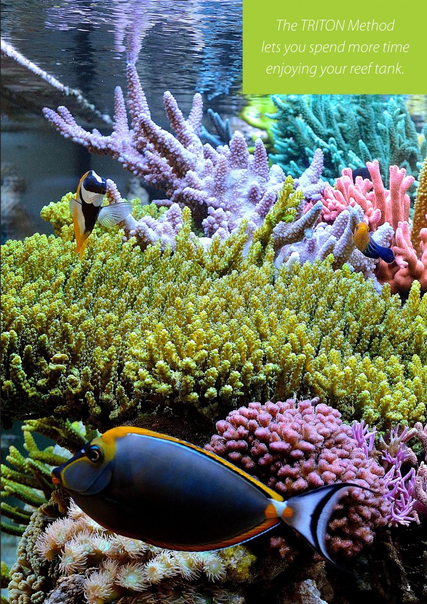 Guide to the Triton Method REEF2REEF Saltwater and Reef Aquarium Forum