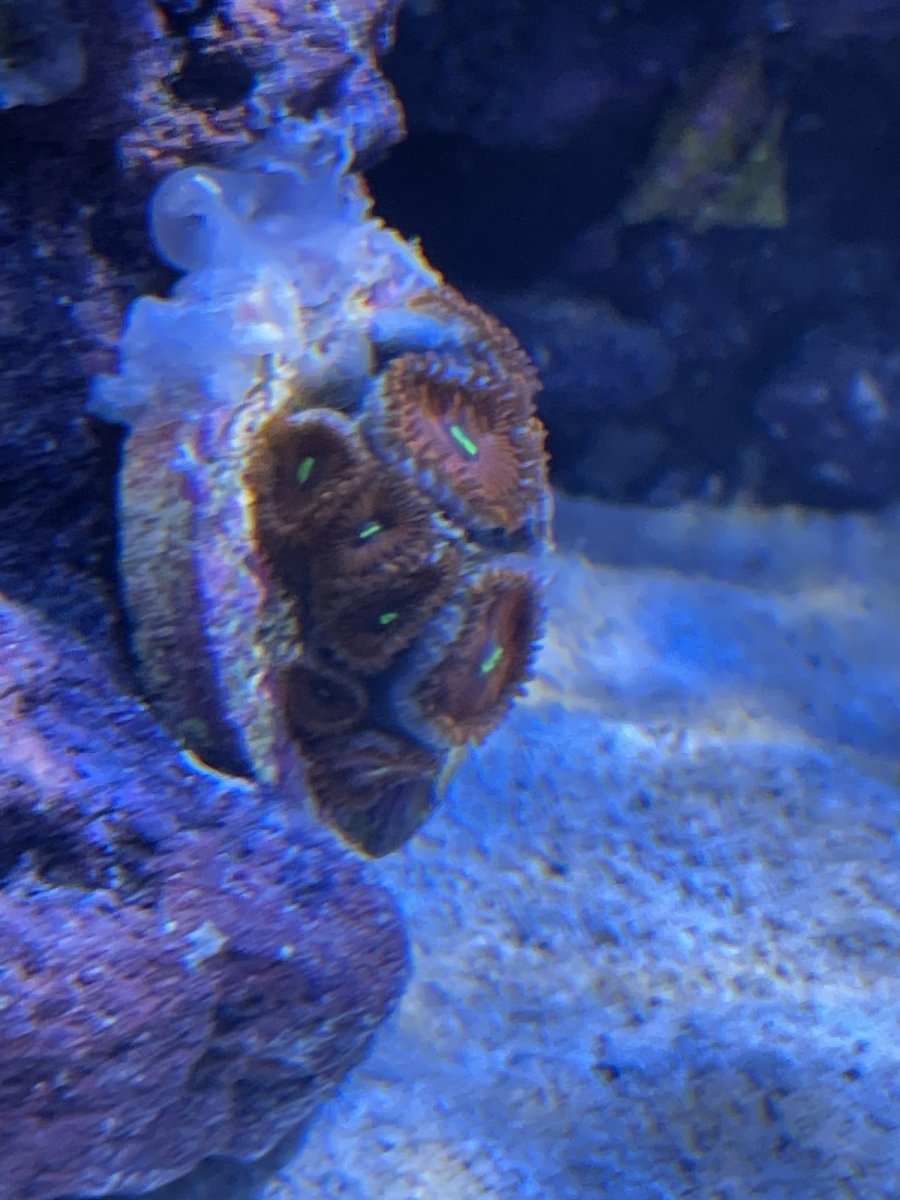 Build Thread Give'er Kavorka's Waterbox AIO 35.2 Build Page 3