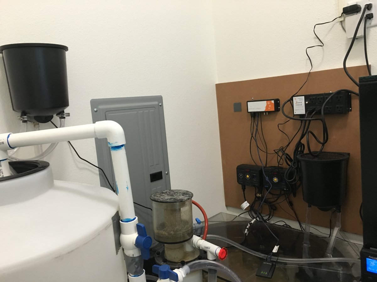 Proud of your automatic water change system? I want to see it! Page 2