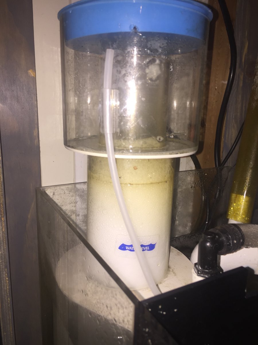 DIY skimmer tuning issues and proposed solution REEF2REEF Saltwater