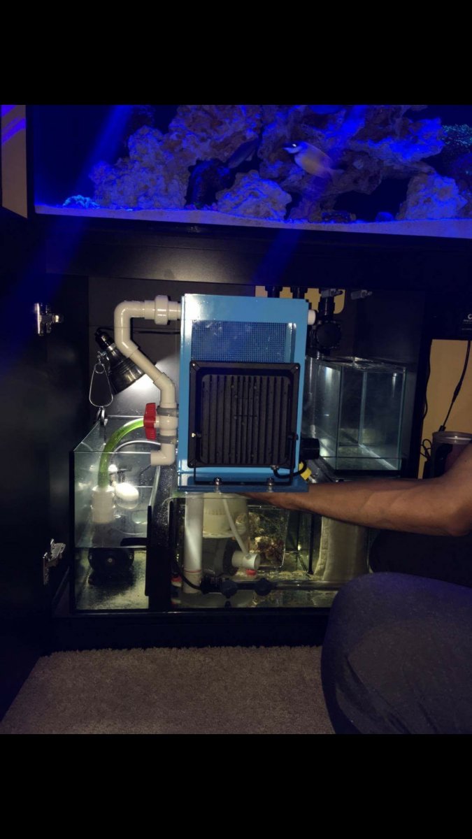 Algae scrubber REEF2REEF Saltwater and Reef Aquarium Forum
