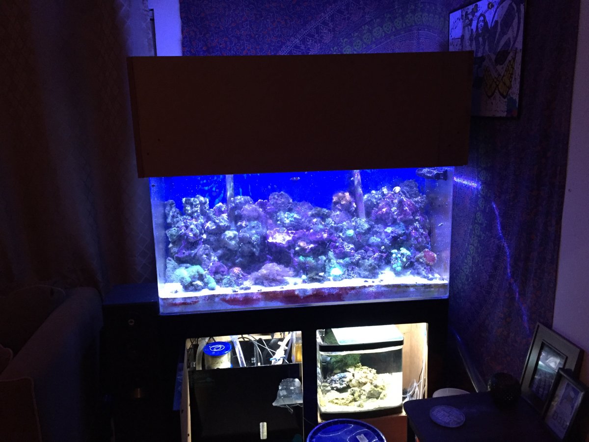 Building a Hang On Back Refugium...need help? | Reef2Reef