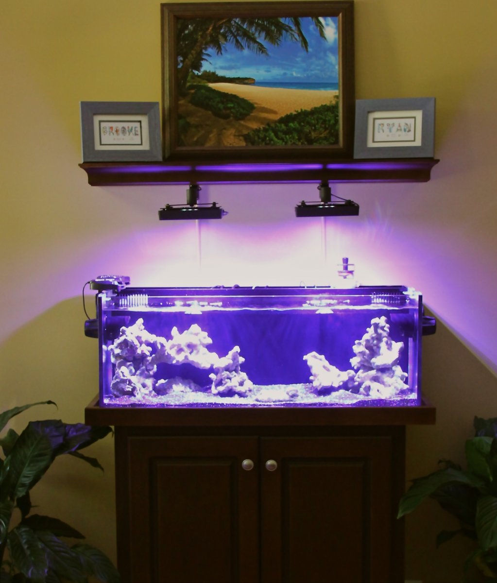 So many ways to mount your AquaIllumination Lights... How do you do it