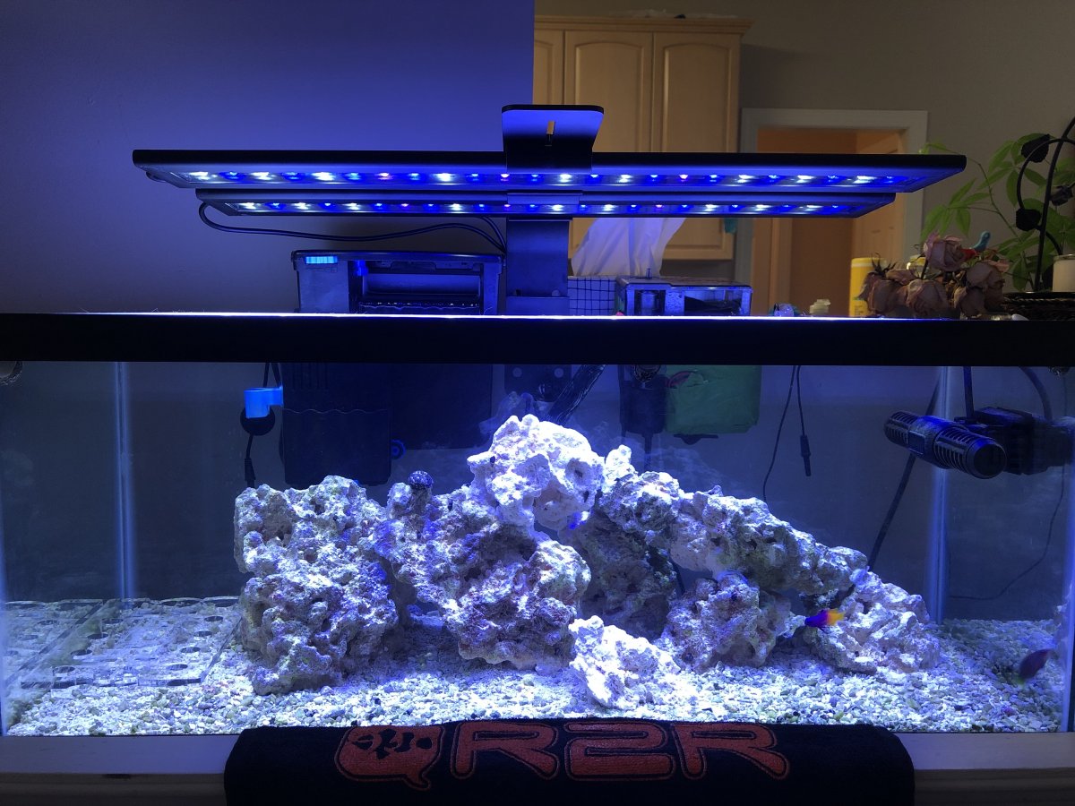 Magnesium testing REEF2REEF Saltwater and Reef Aquarium Forum