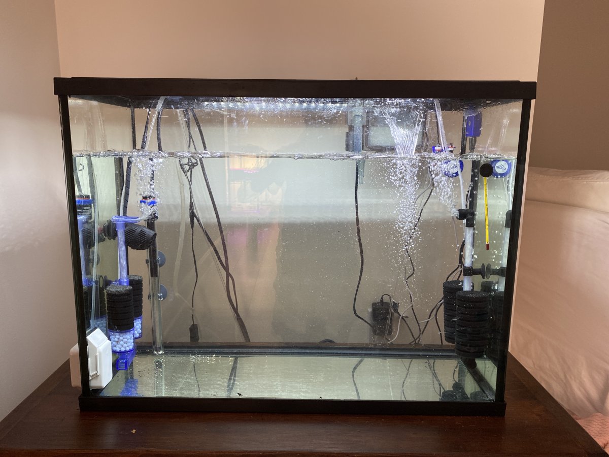 Quarantine tank REEF2REEF Saltwater and Reef Aquarium Forum