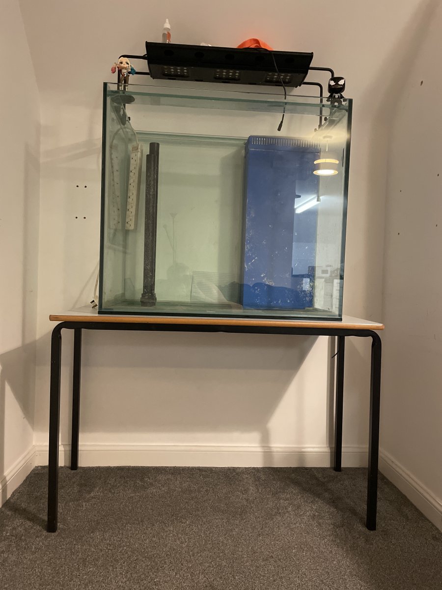 Stand help and Polystyrene ? REEF2REEF Saltwater and Reef Aquarium Forum