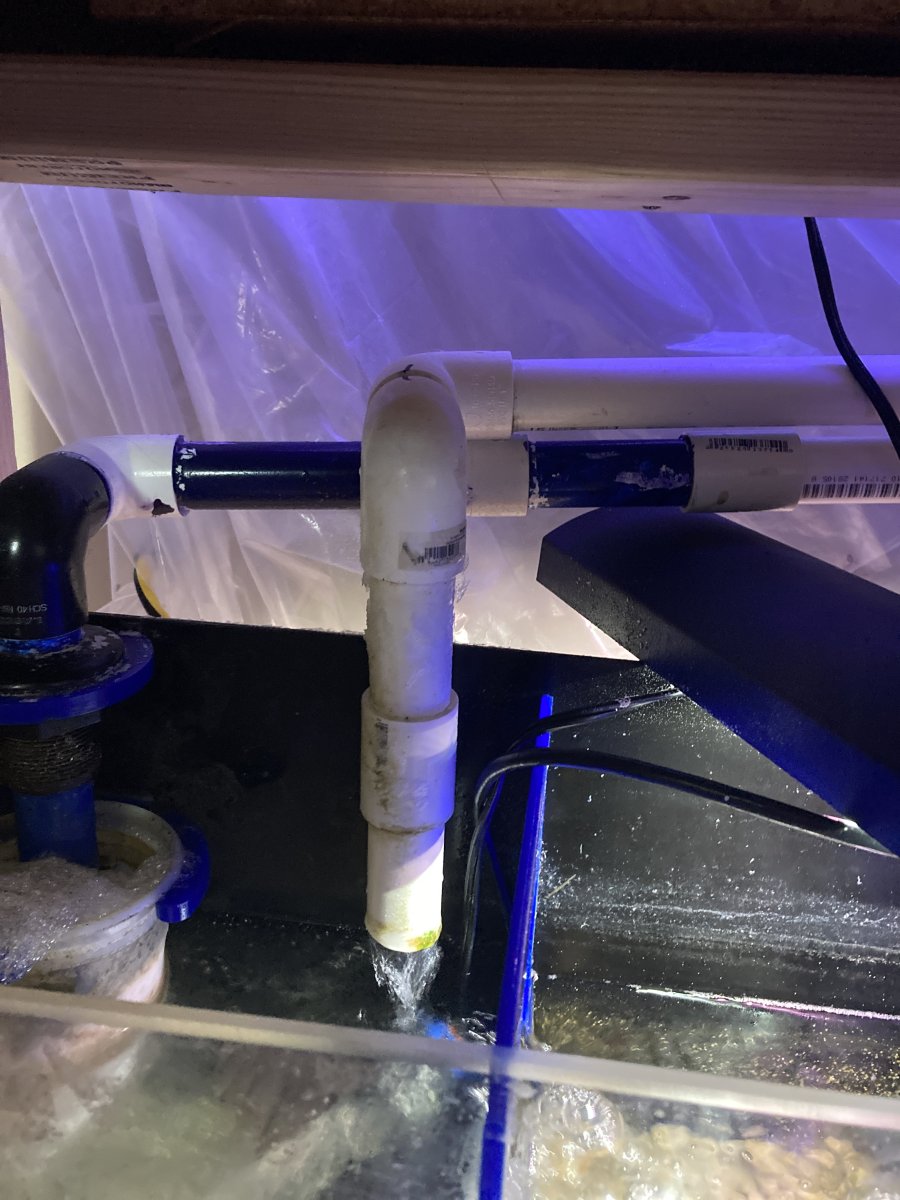 Clogged pvc pipe REEF2REEF Saltwater and Reef Aquarium Forum