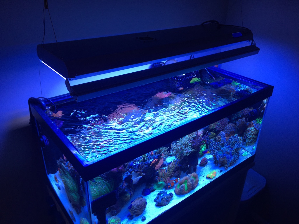 Reefbrite led strip REEF2REEF Saltwater and Reef Aquarium Forum