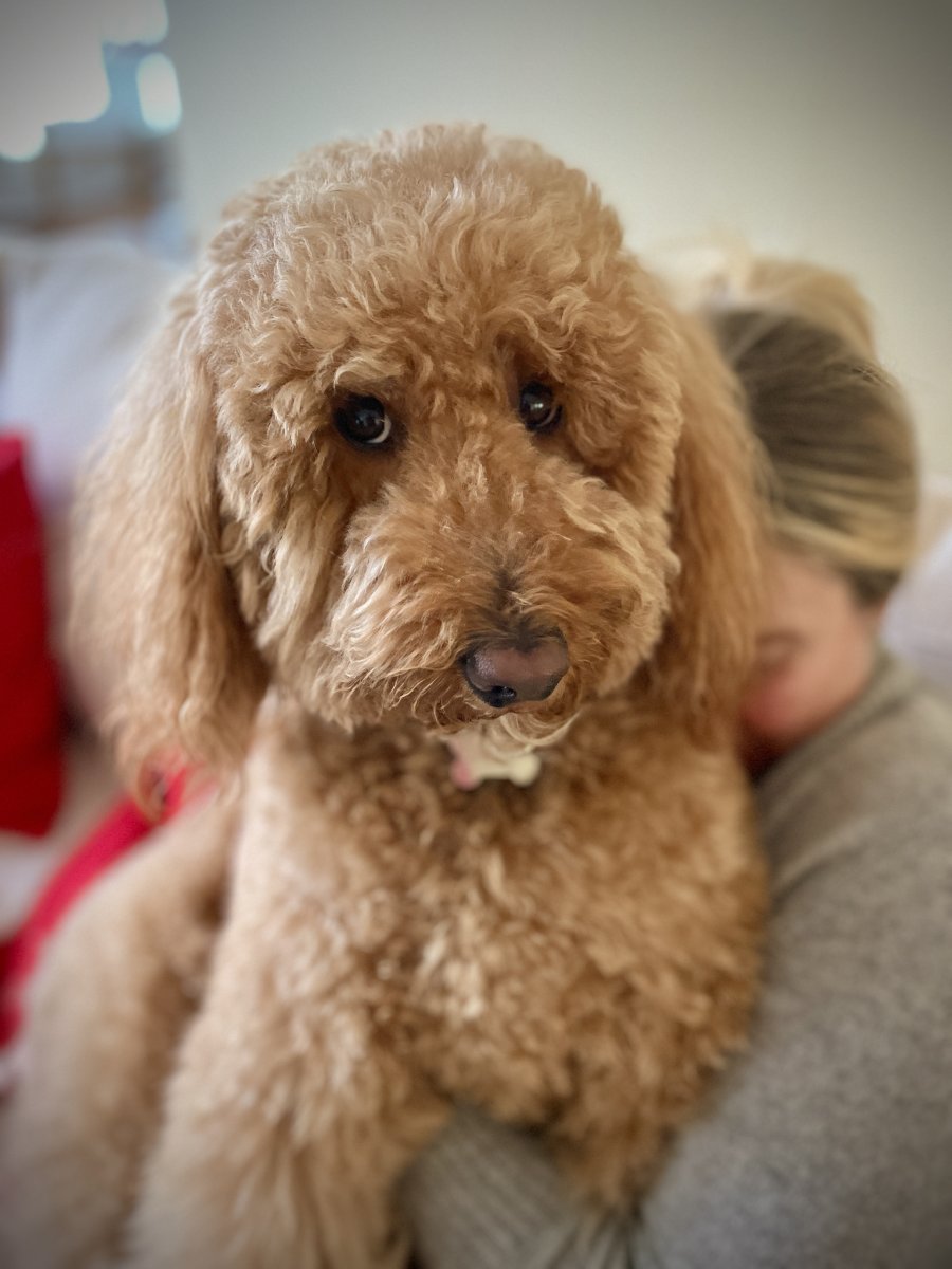 Very sad day for HolmesFarleys REEF2REEF Saltwater and Reef Aquarium