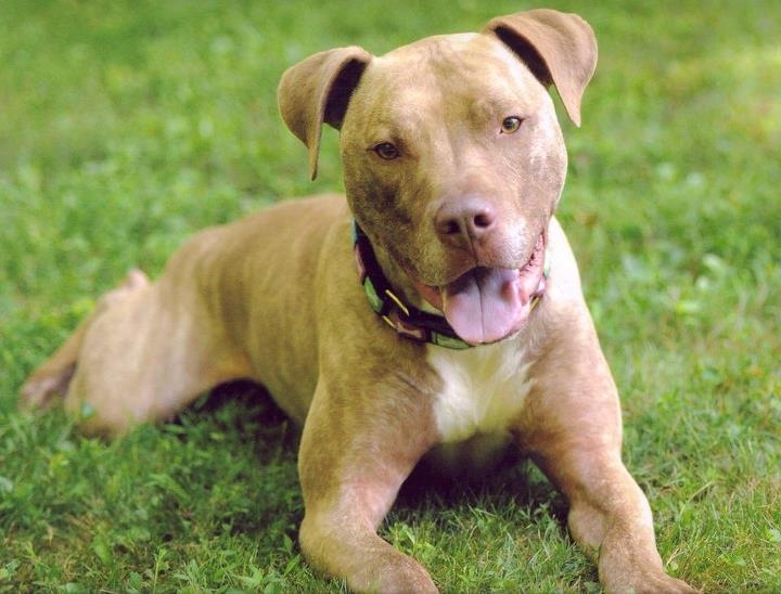 Very sad day for HolmesFarleys REEF2REEF Saltwater and Reef Aquarium