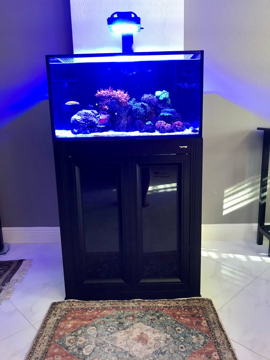 Florida Aquariums Drygoods Innovative Marine IM50 Lagoon INT with