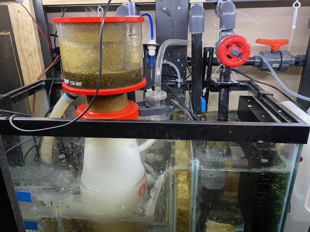 Reefpi build with DIY dosing pumps REEF2REEF Saltwater and Reef Aquarium Forum