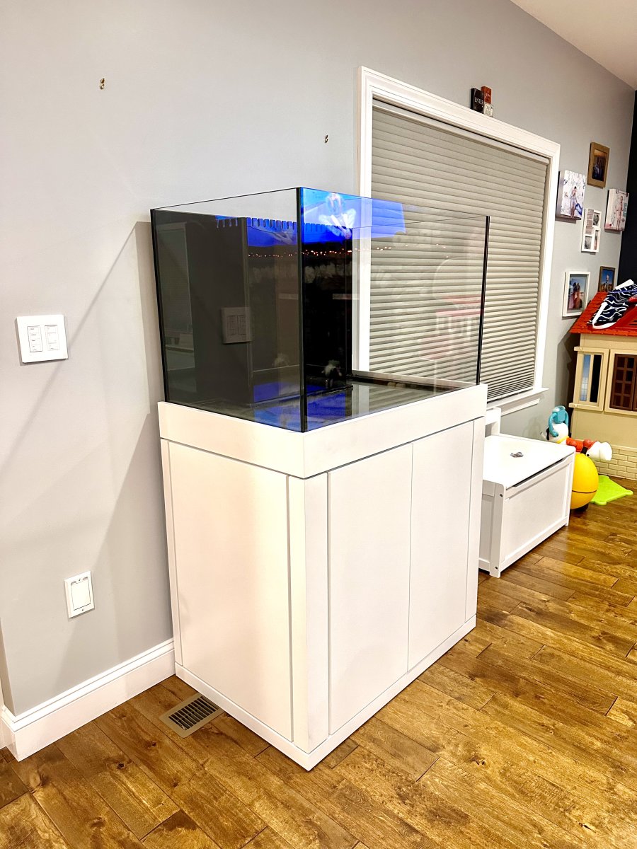 Build Thread Matt's dream 90 gallon glass cages build REEF2REEF
