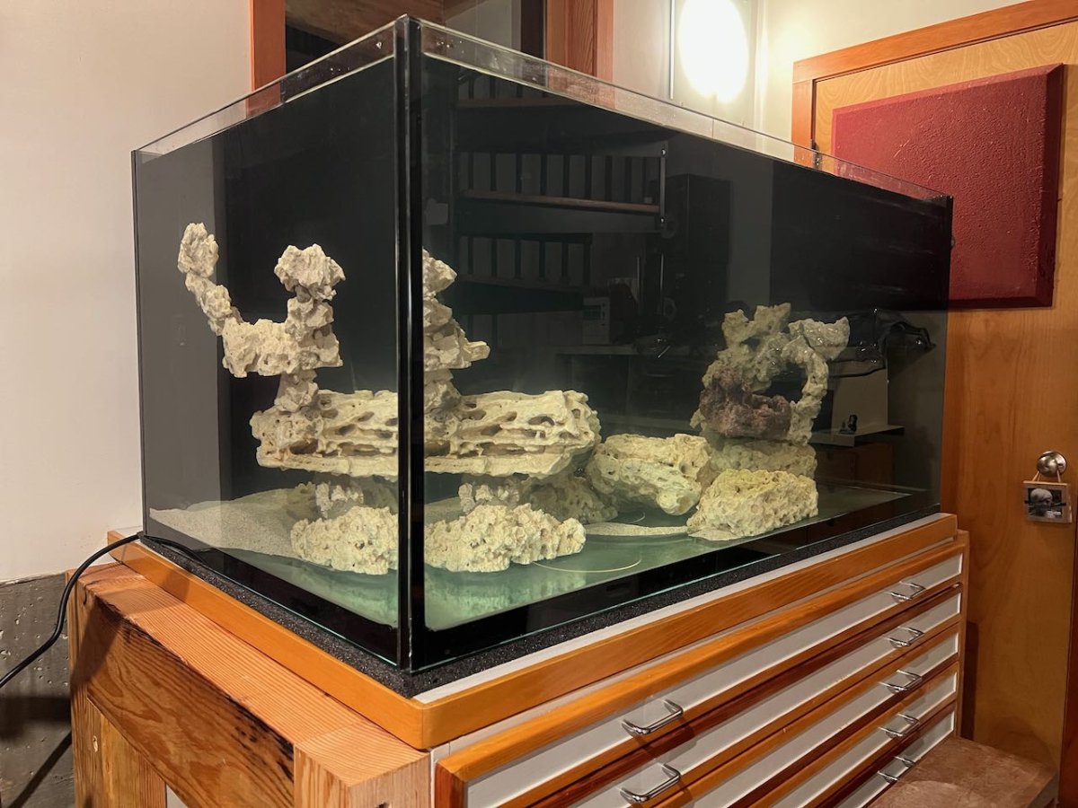 Build Thread Glass Cages SPS Dominant 200 Total with Fish Room